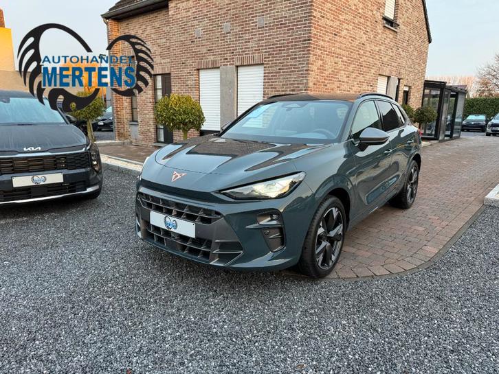 CUPRA Terramar 1.5 eTSI 150PK DSG ACC EL/KOF NIEUW 0KM, Autos, Cupra, Entreprise, Achat, Terramar, ABS, Caméra de recul, Régulateur de distance