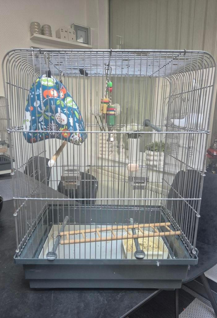 Vogel kooi, Dieren en Toebehoren, Vogels | Hokken en Kooien, Ophalen, Vogelkooi