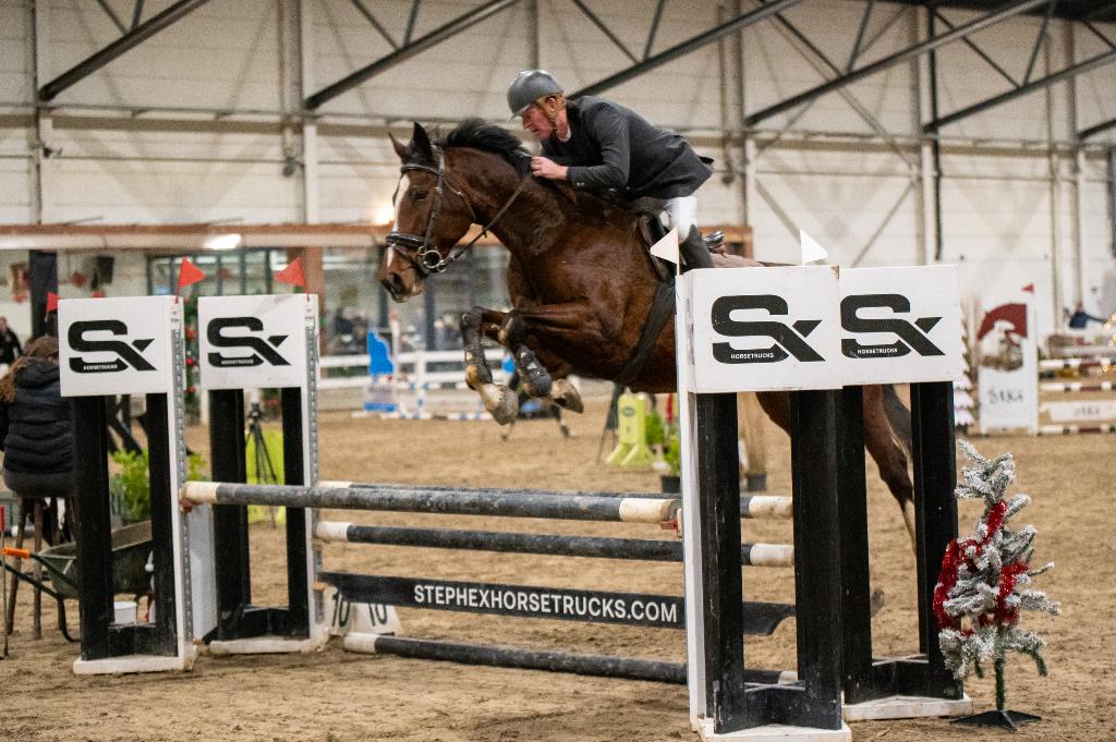 5 jarige brave ruin, Animaux & Accessoires, Hongre, 165 à 170 cm, Cheval de saut, Avec pedigree