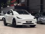 Tesla Model Y LONG RANGE - ALL WHEEL DRIVE - FULL PAINT PROT, Wit, 5 zetels, SUV of Terreinwagen, USB