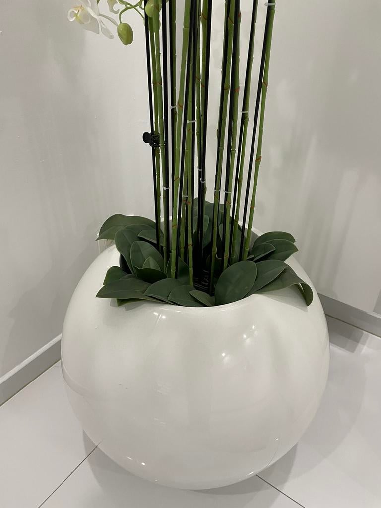 Bloembak beige, Ophalen, Zo goed als nieuw, Binnen