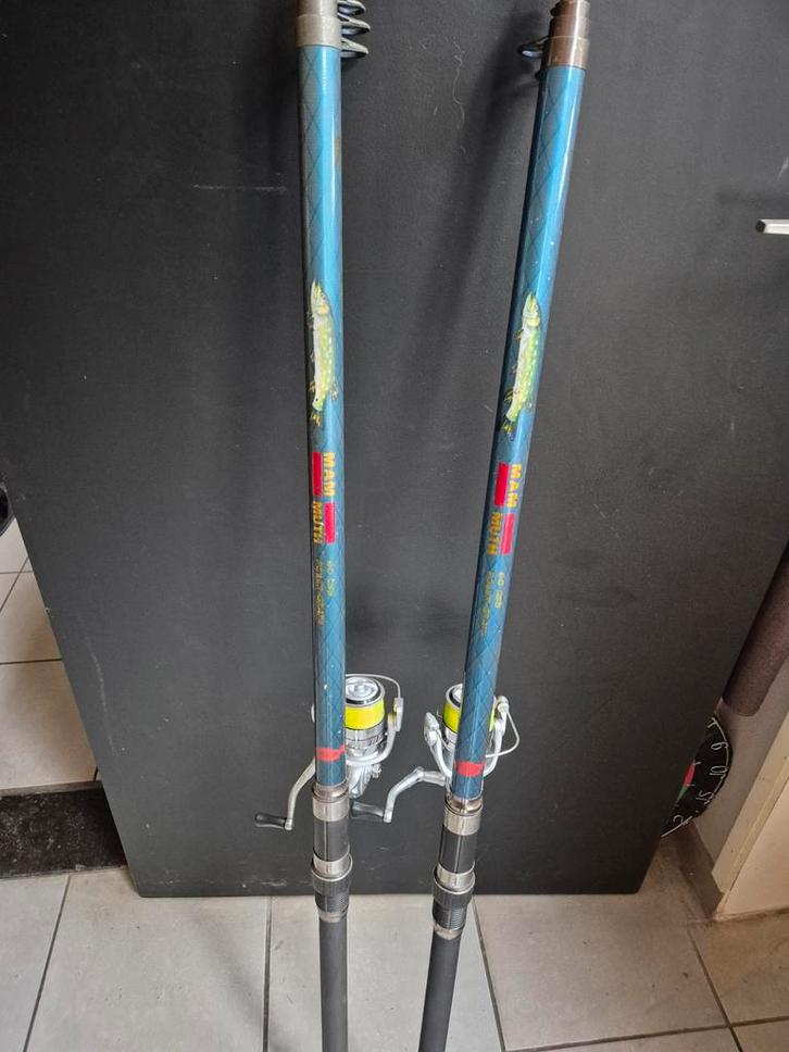 Snoek snoekbaars hengels 6 meter, Watersport en Boten, Hengelsport | Roofvissen, Ophalen of Verzenden