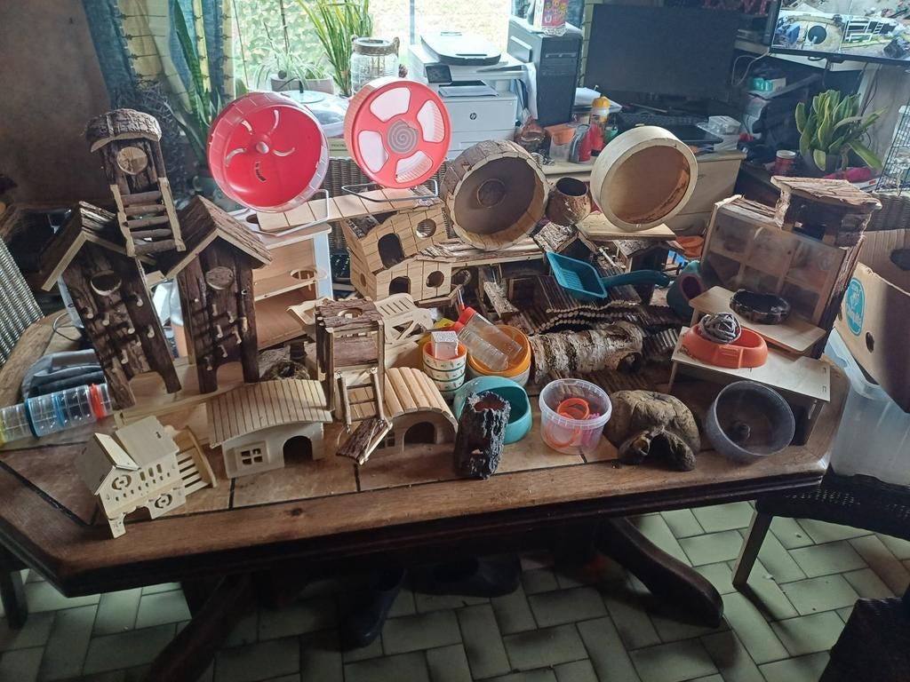 Ensemble complet de jouets pour hamsters, Collections, Machines | Flipper (jeu), Enlèvement