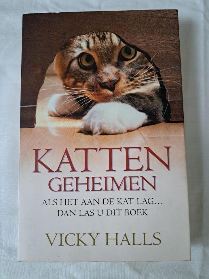 Katten  – mooie korting bij meerdere aankopen, Boeken, Overige Boeken, Ophalen of Verzenden