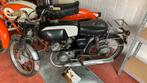 Moto Guzzi Dingo GT 49cc, Motoren, Particulier