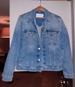 Jas jeans jeansjas CK dames Mt L - NIEUWstaat, Ophalen, Zo goed als nieuw, Maat 42/44 (L)