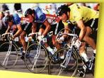 Wielerkaart 1980 tour de france. Hinault planckaert, Verzenden