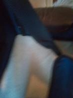 Honden bench, Dieren en Toebehoren, Hondenbenches, Ophalen of Verzenden