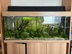 Aquarium juwel 240, Dieren en Toebehoren, Ophalen, Zo goed als nieuw, Gevuld zoetwateraquarium