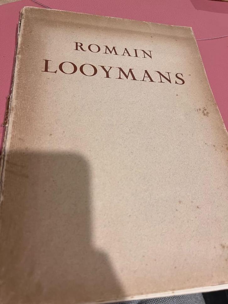 Romain Looymans par Georges Eekhoud, Boeken, Kunst en Cultuur | Beeldend, Gelezen, Schilder- en Tekenkunst, Ophalen of Verzenden