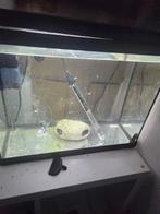 Klein aquarium 40l, Ophalen of Verzenden