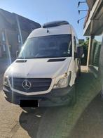 Mercedes-Benz Sprinter  Koelauto Euro 6, Auto's, Voorwielaandrijving, 4 deurs, 4 cilinders, Alcantara