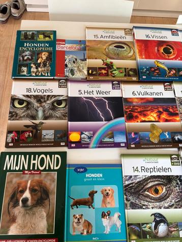 Boeken te koop (Regio Brugge, zowel individueel als Bulk) beschikbaar voor biedingen