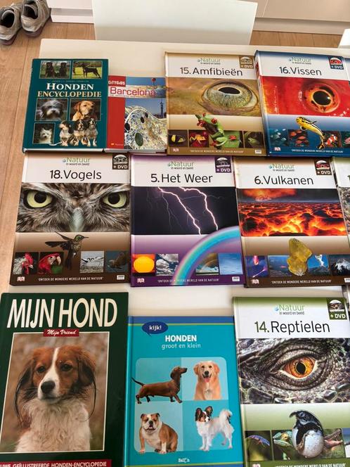 Boeken te koop (Regio Brugge, zowel individueel als Bulk), Boeken, Stock en Verzamelingen, Zo goed als nieuw, Ophalen