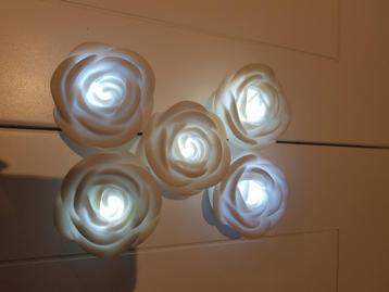 Roses illuminées, Enlèvement ou Envoi, Utilisé