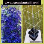 Verticale tuin, plantenrekken klimplantenrek tuinrekken, Volle zon, Vaste plant, Ophalen of Verzenden, Fruitplanten