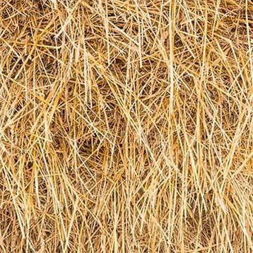 Gezocht hooi of voordroog voor paarden(grote balen) beschikbaar voor biedingen