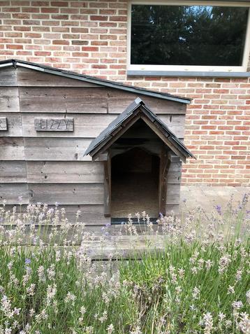Rustiek hondenhokken beschikbaar voor biedingen