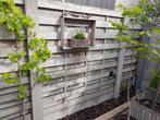 Tuinschermen in goede staat zonder palen, Tuin en Terras, Ophalen, Gebruikt