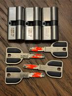 Vachette 4 Veiligheidscilinders met 4 sleutel 33x33cm, Ophalen