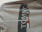 Tommy Jeans Hoodie, Ophalen of Verzenden, Gedragen, Maat 46 (S) of kleiner