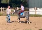 Knappe nederlandse Welsh A merrie, met papier en zadelmak!, Merrie, Zadelmak, 3 tot 6 jaar, B pony (1.17m tot 1.27m)