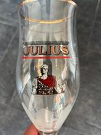 8 verres de Julius 33cl, Enlèvement ou Envoi
