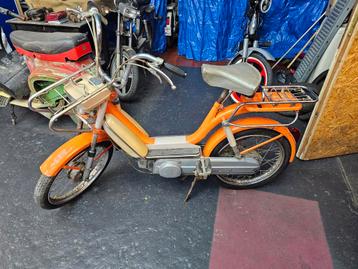 Piaggio bravo  beschikbaar voor biedingen