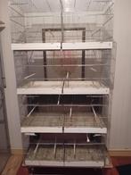 4 ijzeren kweekkooien 90 cm, Dieren en Toebehoren