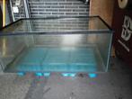 Aquarium of virarium, Dieren en Toebehoren, Ophalen of Verzenden, Zo goed als nieuw