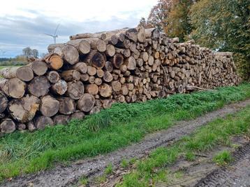 bois de chauffage sec en 2m disponible aux enchères