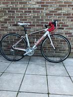 Specialized comp damesfiets, Vélos & Vélomoteurs, Vélos | Vélos de course, Femmes, 49 à 53 cm, Enlèvement, Utilisé