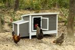 Kippenhok Julia, kunststof met lade en scharnierend dak