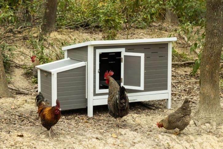 Kippenhok Julia, kunststof met lade en scharnierend dak, Dieren en Toebehoren, Pluimvee | Toebehoren, Nieuw, Kippenhok of Kippenren
