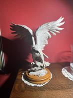 Vliegende adelaar Giuseppe Armani, Ophalen