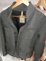 Mannenjas Esprit L, Kleding | Heren, Jassen | Winter, Ophalen, Gedragen, Maat 52/54 (L), Esprit