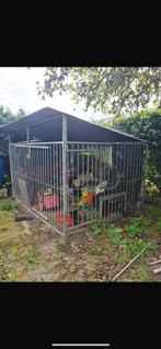 HONDENKENNEL 3x2, Animaux & Accessoires, Maisons pour chiens, Enlèvement, Comme neuf, Chenil chien