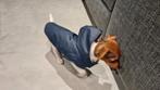Manteau pour chien fourré et imperméable, Animaux & Accessoires, Vêtements pour chiens, Comme neuf, Enlèvement ou Envoi, Manteau pour chien