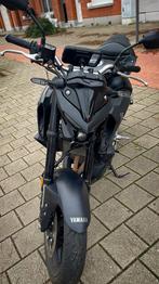 Yamaha MT-03 2024, Motoren, Motoren | Yamaha, 2 cilinders, 321 cc, Particulier, Minimaal motorrijbewijs A2