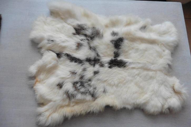 Set van 9 verschillende soorten echt antiek bont, Antiek en Kunst, Curiosa en Brocante, Ophalen of Verzenden