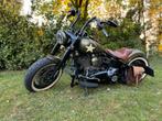 Harley Davidson FLSS Customized - Softail Slim S, Chopper, Particulier, 1801 cc, Meer dan 35 kW