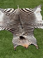 Taxidermie tapijt zebra vel hoofd benen staart, Antiek en Kunst, Ophalen of Verzenden
