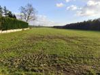 Landbouwgrond te Ellikom, Immo, Oudsbergen, Verkoop zonder makelaar, 1500 m² of meer