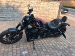 Harley Davidson V Rod Night special, Motos, Particulier