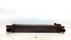 RADIATEUR INTERCOOLER Citroën Nemo Combi (AJ) (51790623), Gebruikt, Citroën