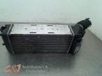 Intercooler van een Citroen Berlingo, Auto-onderdelen, Airco en Verwarming, Ophalen of Verzenden, 3 maanden garantie, Gebruikt