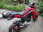 moto honda msx 125cc grom, Motoren, Motoren | Honda, Particulier