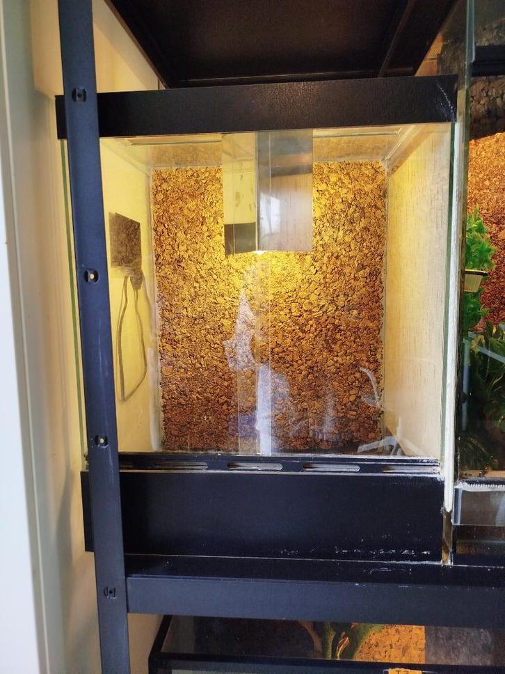 Terrarium met warmtemat, Dieren en Toebehoren, Reptielen en Amfibieën | Toebehoren, Gebruikt, Terrarium of Paludarium, Ophalen