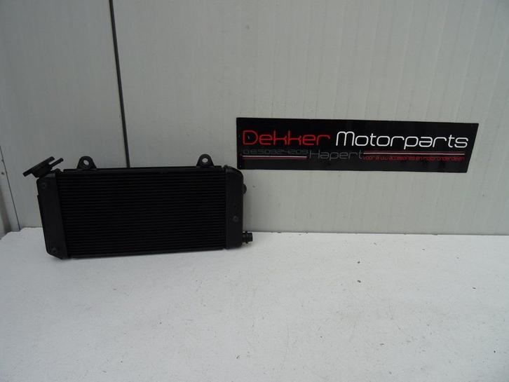 Radiateur / Radiator Yamaha Tenere 1200 2010-2011-2012-2019, Motoren, Onderdelen | Yamaha, Ophalen of Verzenden