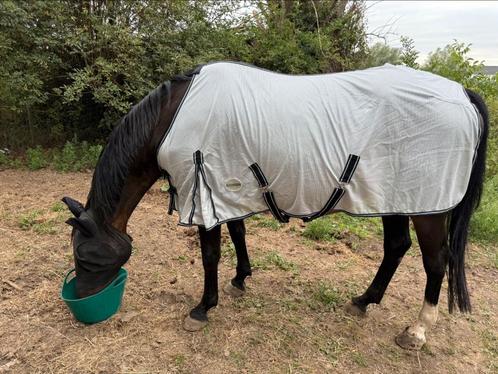Nieuwe vliegendekens & gebruikte menvliegendekens, Dieren en Toebehoren, Paarden en Pony's | Dekens en Dekjes, Nieuw, Deken, Ophalen of Verzenden